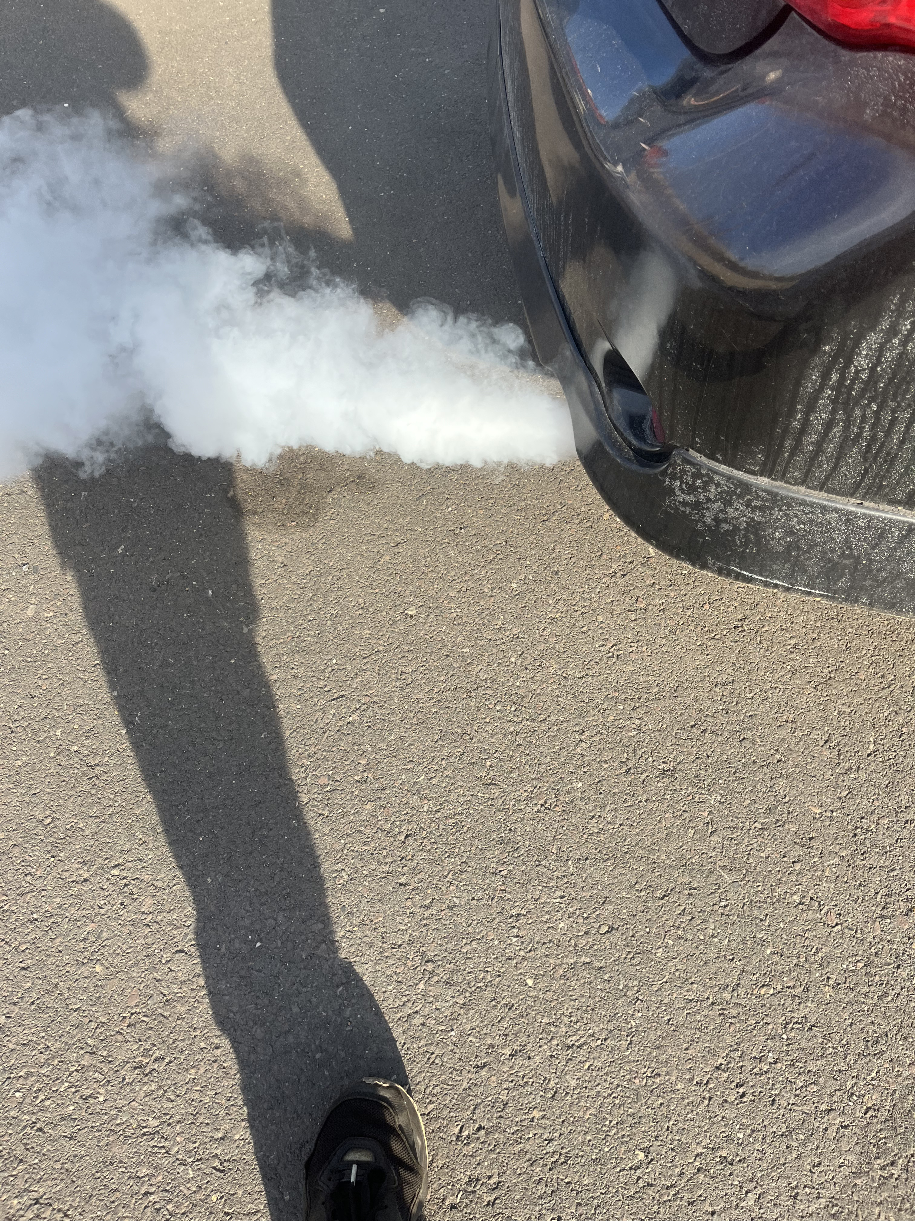 White smoke from Ford Mustang exhaust pipe indicating coolant in combustion chamber at TOP CONCEPT Philadelphia